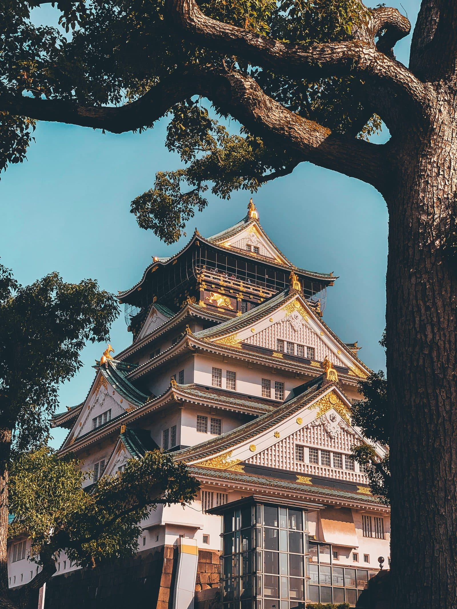 Kansai autumn day trip near Osaka